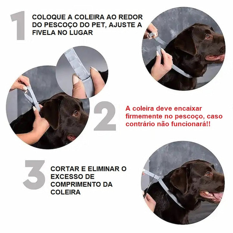 Colar Antipulgas e Carrapatos - 8 Meses de Proteção